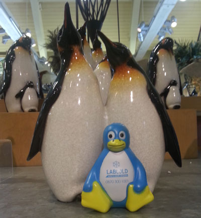 Meeting some other 'suspicious' looking penguins 